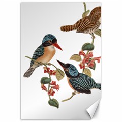 Bird Birds Branch Flowers Vintage Canvas 12  X 18   by Sapixe