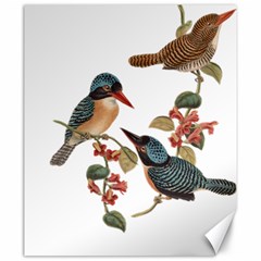 Bird Birds Branch Flowers Vintage Canvas 20  X 24   by Sapixe