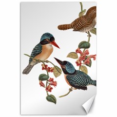 Bird Birds Branch Flowers Vintage Canvas 24  X 36  by Sapixe