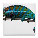 Reptile Lizard Animal Isolated Tile Coasters Front