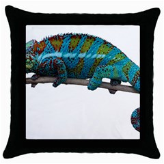 Reptile Lizard Animal Isolated Throw Pillow Case (black) by Sapixe