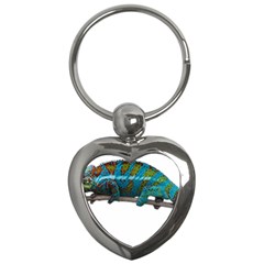 Reptile Lizard Animal Isolated Key Chains (heart) 