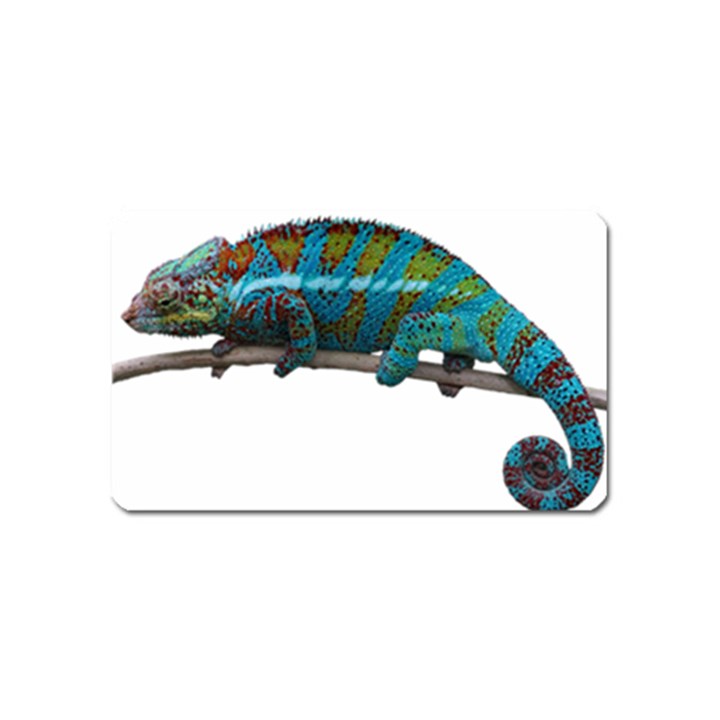 Reptile Lizard Animal Isolated Magnet (Name Card)