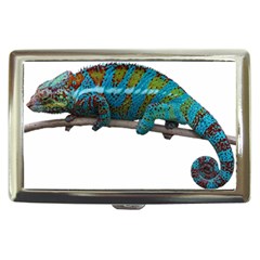 Reptile Lizard Animal Isolated Cigarette Money Cases by Sapixe