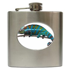 Reptile Lizard Animal Isolated Hip Flask (6 Oz) by Sapixe