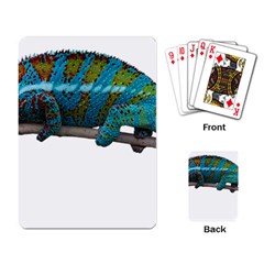 Reptile Lizard Animal Isolated Playing Card by Sapixe