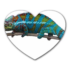 Reptile Lizard Animal Isolated Heart Mousepads by Sapixe