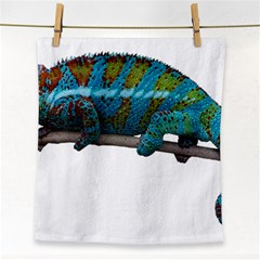 Reptile Lizard Animal Isolated Face Towel by Sapixe