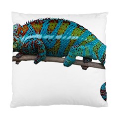 Reptile Lizard Animal Isolated Standard Cushion Case (two Sides) by Sapixe