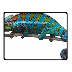 Reptile Lizard Animal Isolated Fleece Blanket (small) by Sapixe