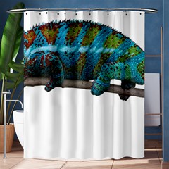 Reptile Lizard Animal Isolated Shower Curtain 60  X 72  (medium)  by Sapixe