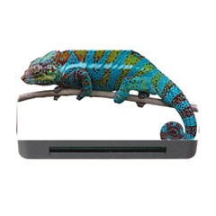 Reptile Lizard Animal Isolated Memory Card Reader With Cf by Sapixe