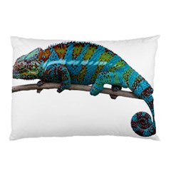 Reptile Lizard Animal Isolated Pillow Case (two Sides) by Sapixe