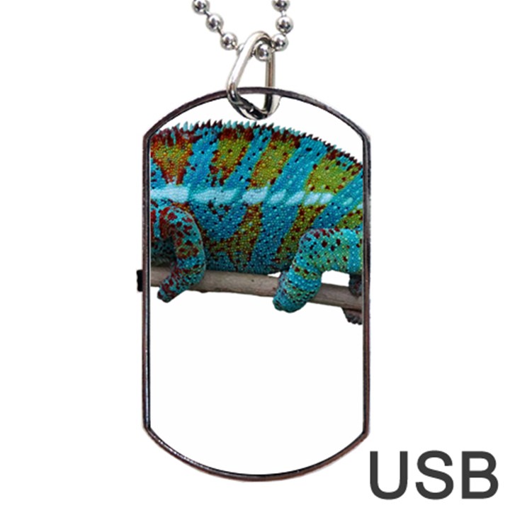 Reptile Lizard Animal Isolated Dog Tag USB Flash (Two Sides)