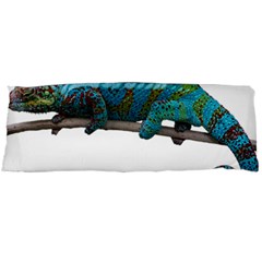 Reptile Lizard Animal Isolated Body Pillow Case (dakimakura) by Sapixe