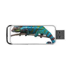 Reptile Lizard Animal Isolated Portable Usb Flash (one Side) by Sapixe