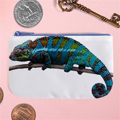 Reptile Lizard Animal Isolated Large Coin Purse by Sapixe