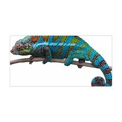 Reptile Lizard Animal Isolated Yoga Headband by Sapixe