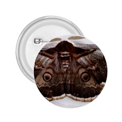 Night Butterfly Butterfly Giant 2 25  Buttons by Sapixe