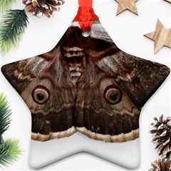 Night Butterfly Butterfly Giant Ornament (star) by Sapixe