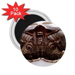 Night Butterfly Butterfly Giant 2.25  Magnets (10 pack)  Front