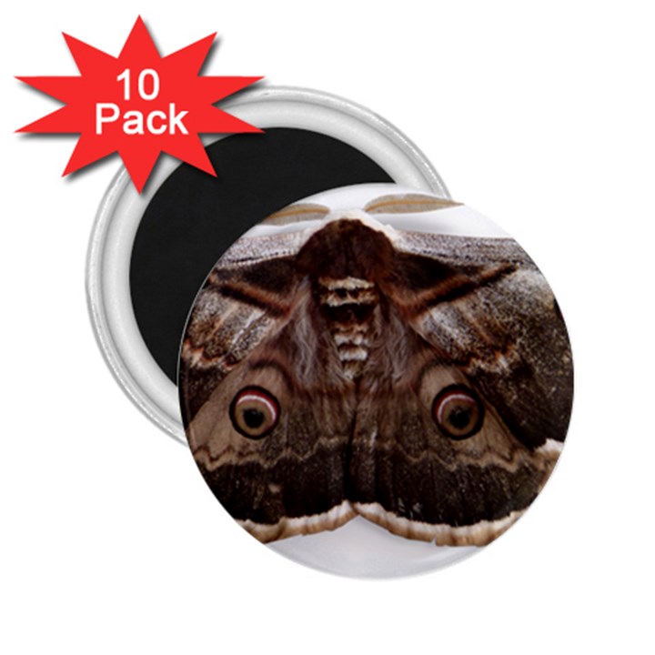 Night Butterfly Butterfly Giant 2.25  Magnets (10 pack) 