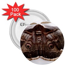 Night Butterfly Butterfly Giant 2 25  Buttons (100 Pack)  by Sapixe