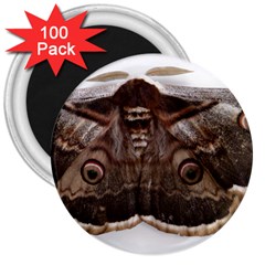 Night Butterfly Butterfly Giant 3  Magnets (100 Pack) by Sapixe