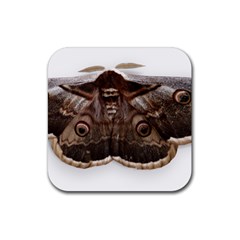 Night Butterfly Butterfly Giant Rubber Coaster (square)  by Sapixe