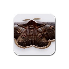 Night Butterfly Butterfly Giant Rubber Square Coaster (4 Pack)  by Sapixe