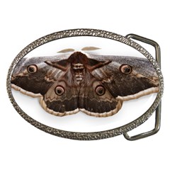 Night Butterfly Butterfly Giant Belt Buckles