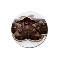 Night Butterfly Butterfly Giant Rubber Round Coaster (4 Pack)  by Sapixe