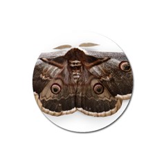 Night Butterfly Butterfly Giant Magnet 3  (round) by Sapixe