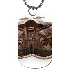 Night Butterfly Butterfly Giant Dog Tag (one Side) by Sapixe