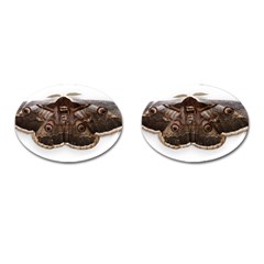 Night Butterfly Butterfly Giant Cufflinks (oval) by Sapixe