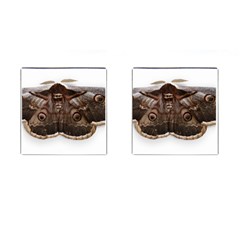 Night Butterfly Butterfly Giant Cufflinks (square) by Sapixe