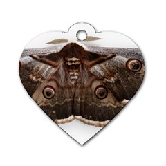 Night Butterfly Butterfly Giant Dog Tag Heart (one Side) by Sapixe