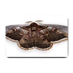 Night Butterfly Butterfly Giant Small Doormat  by Sapixe