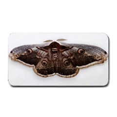 Night Butterfly Butterfly Giant Medium Bar Mats by Sapixe