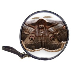 Night Butterfly Butterfly Giant Classic 20-cd Wallets by Sapixe