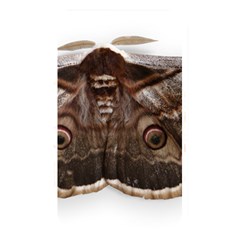 Night Butterfly Butterfly Giant Memory Card Reader by Sapixe