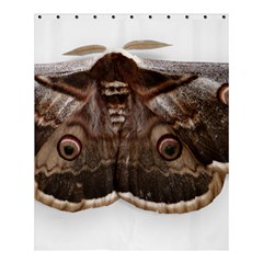 Night Butterfly Butterfly Giant Shower Curtain 60  X 72  (medium)  by Sapixe