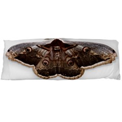 Night Butterfly Butterfly Giant Body Pillow Case (dakimakura) by Sapixe