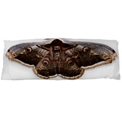 Night Butterfly Butterfly Giant Body Pillow Case Dakimakura (two Sides) by Sapixe