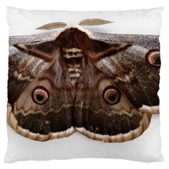 Night Butterfly Butterfly Giant Large Cushion Case (two Sides) by Sapixe