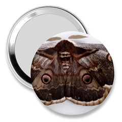 Night Butterfly Butterfly Giant 3  Handbag Mirrors by Sapixe