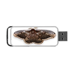 Night Butterfly Butterfly Giant Portable Usb Flash (one Side) by Sapixe