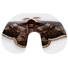 Night Butterfly Butterfly Giant Travel Neck Pillows by Sapixe