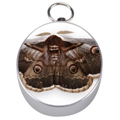 Night Butterfly Butterfly Giant Silver Compasses by Sapixe