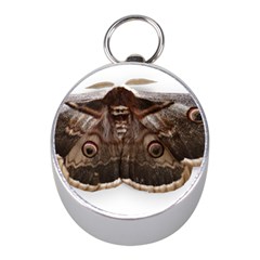 Night Butterfly Butterfly Giant Mini Silver Compasses by Sapixe